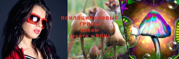 круглые Иннополис