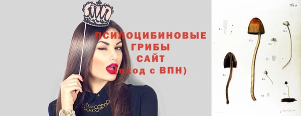 круглые Иннополис