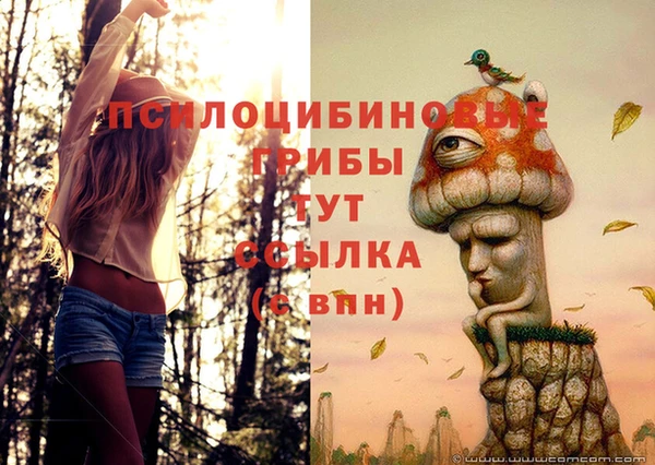 прущие крисы Инсар