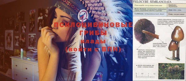прущие крисы Инсар